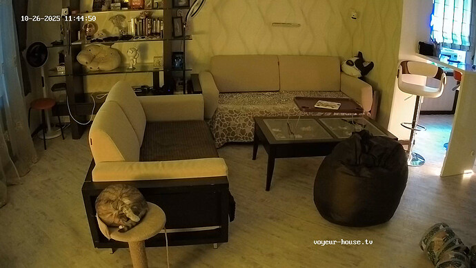 realm64-cam14-1761468358