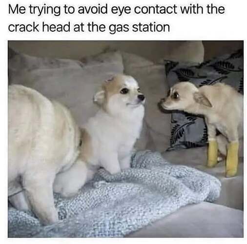 504070660_30004484479167400_2970775474130913961_n