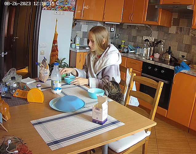 Screenshot 2023-08-26 at 06-41-18 Kitchen camera at Ariela & Sebastian reallifecam apartment at Voyeur House TV (cam12)