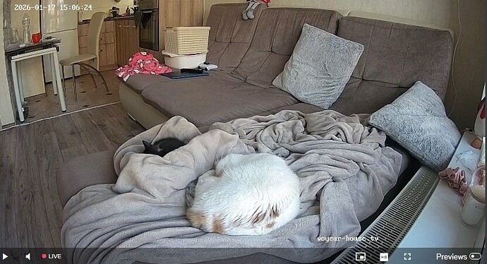 Screenshot_17-1-2026_131024_voyeur-house.tv