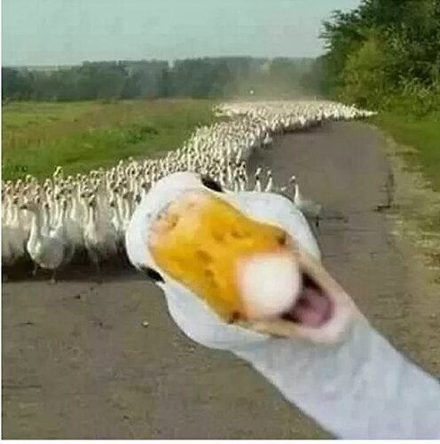 main-qimg-3a3daf73c40ea7fc2f0f237e9fffaae9-lq