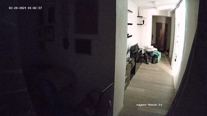 realm55-cam117-1708369393