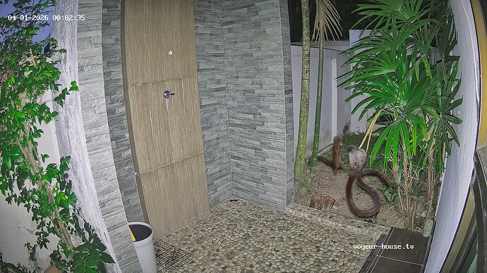 TropicalVilla-20260401-01