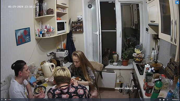 Ashampoo_Snap_mercredi 29 mai 2024_22h11m8s_026_Kitchen camera at Ubaldo & Bo reallifecam apartment at Voyeur House TV (cam11) - Google Chrome