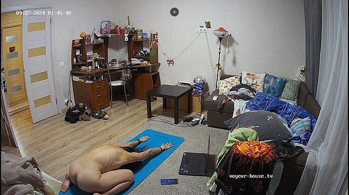 Ashampoo_Snap_vendredi 27 septembre 2024_0h46m3s_028_Living room camera at Camille reallifecam apartment at Voyeur House TV (cam15) - Google Chrome