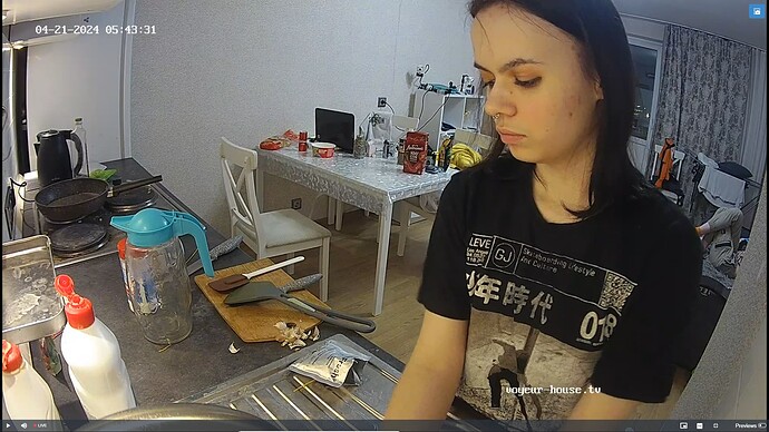 Ashampoo_Snap_dimanche 21 avril 2024_0h44m10s_078_Kitchen camera at Tristan reallifecam apartment at Voyeur House TV (cam11) - Google Chrome