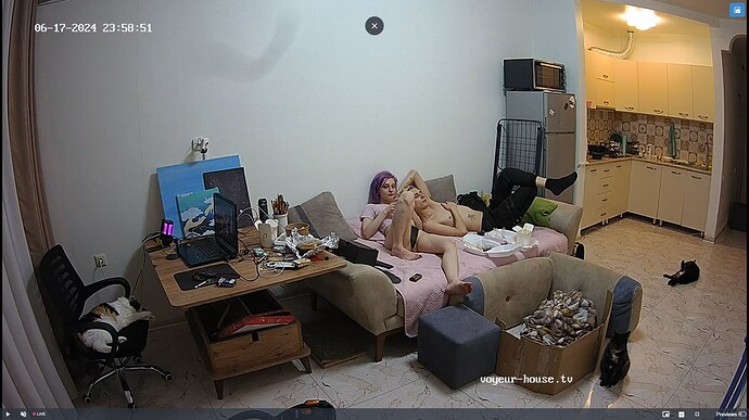Ashampoo_Snap_lundi 17 juin 2024_21h59m15s_003_Living room camera at Inira & Unuk reallifecam apartment at Voyeur House TV (cam13) - Google Chrome