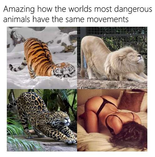 FB_IMG_1681497694595