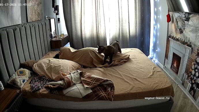 realm144-cam18-1768654577