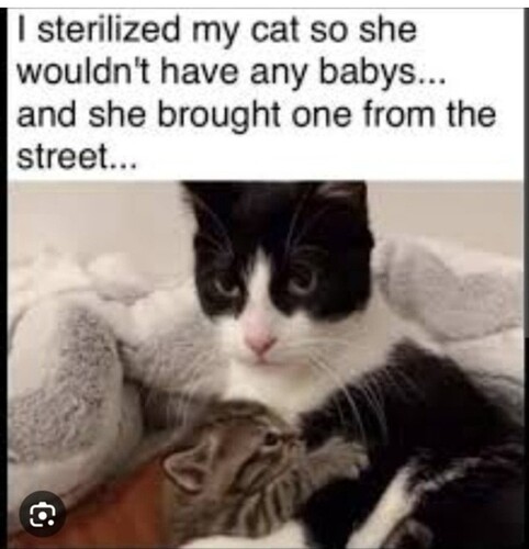 main-qimg-bf660787f5fb22b70d476fbae4f7d269