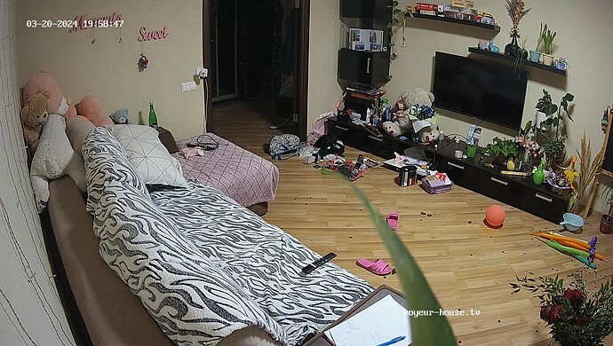 realm37-cam16-1710953961