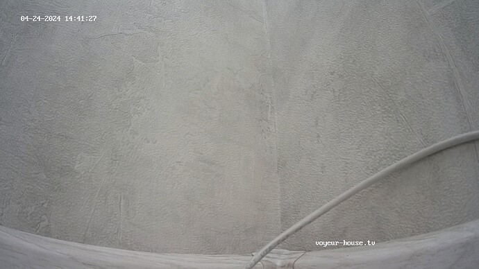 realm33-cam16-1713960559