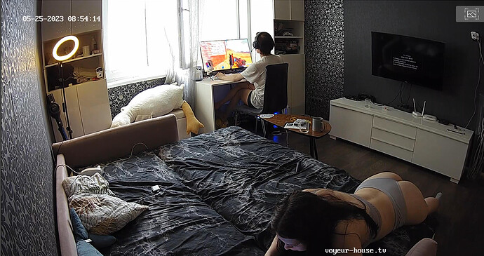 Screenshot 2023-05-25 at 01-59-28 Living room camera at Alicia & Aderyn reallifecam apartment at Voyeur House TV (cam14)