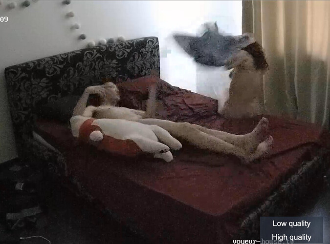 Screenshot 2023-08-19 at 01-14-33 Living room camera at Henry reallifecam apartment at Voyeur House TV (cam17)