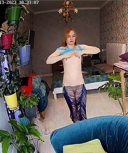 Screenshot 2023-06-13 at 14-10-50 Guest bedroom camera at Sophia Elon Claudia reallifecam apartment at Voyeur House TV (cam110)