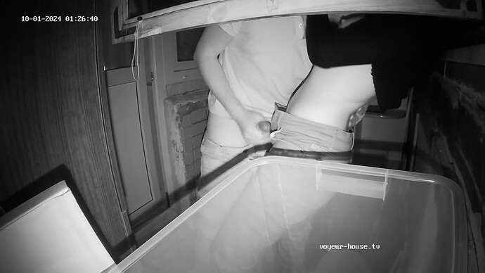 realm71-cam111-1727760787