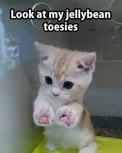 main-qimg-1925f2f8866386d19611a4590385c9a5-lq