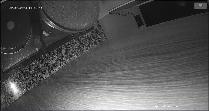 Screenshot 2024-02-12 at 02-42-29 Kitchen camera at Derek & Gina reallifecam apartment at Voyeur House TV (cam11)