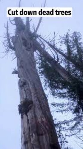 Screenshot 2025-11-22 172455