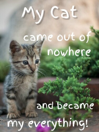 main-qimg-715a2cac1508c0d0e41f37ff9a49f026