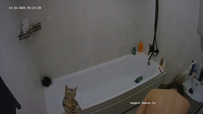 realm13-cam19-1763246803