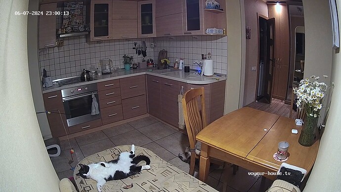 realm34-cam111-1717794054