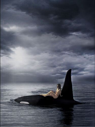 WhaleTour2-1