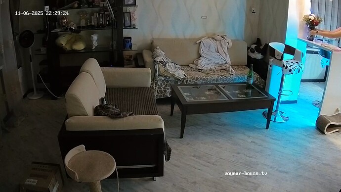 realm64-cam14-1762457414