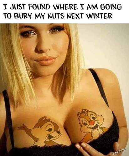 FB_IMG_1683141567456
