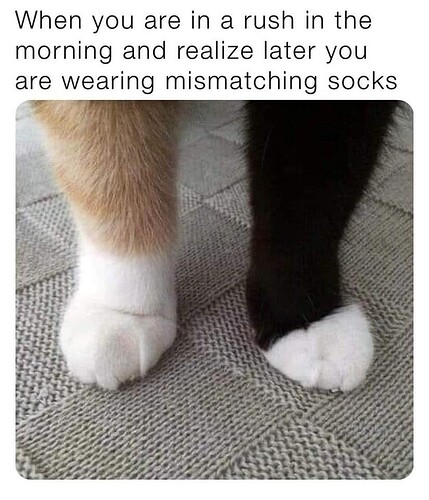 main-qimg-3cb1c7dfd2b497fb7d3ece5e777b5606