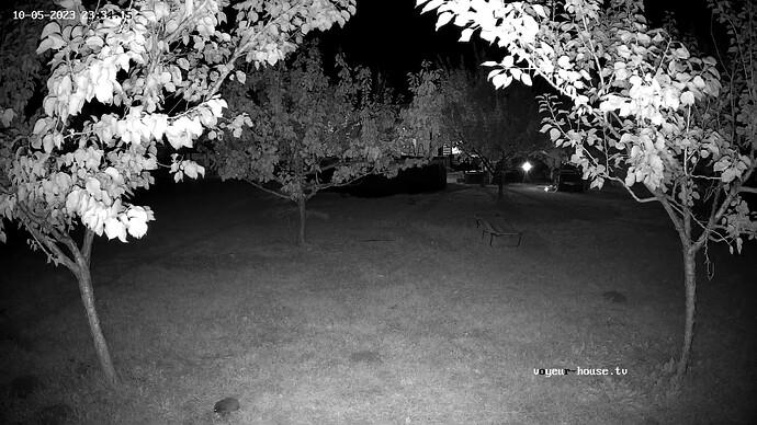 realm59-cam119-1696538243