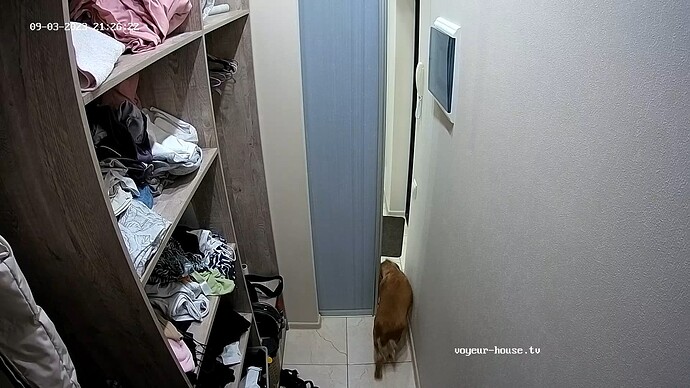 Mika leaves the wardrobe