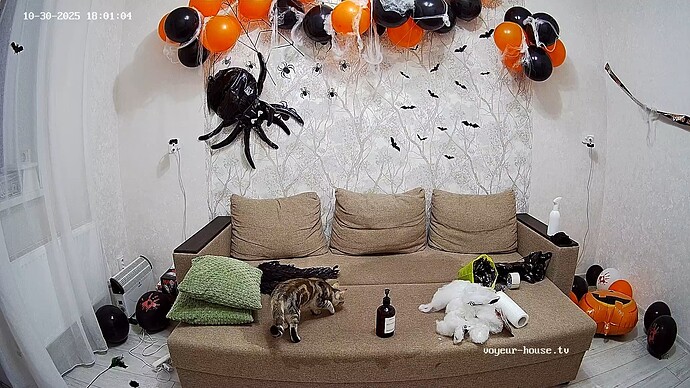 realm13-cam14-1761836498