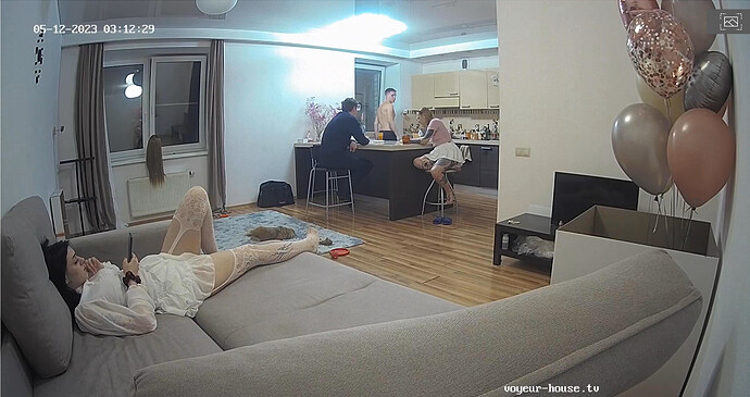 Screenshot 2023-05-11 at 17-12-55 Living room camera at Mira & Henry reallifecam apartment at Voyeur House TV (cam17)