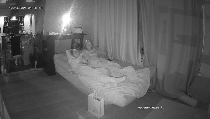 realm55-cam16-1734982166