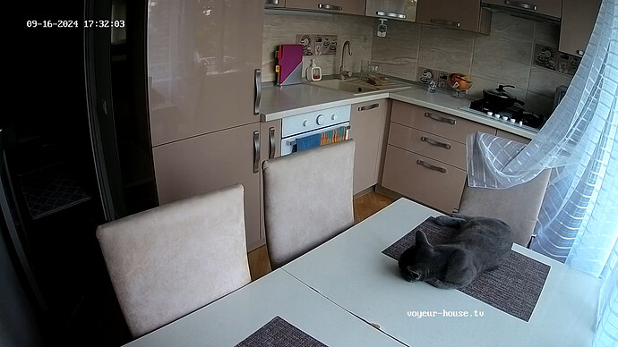 realm66-cam12-1726497157