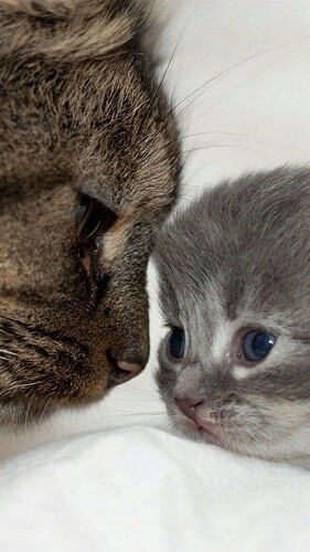 main-qimg-189b2504f43a78d547eb399b1b4a536f