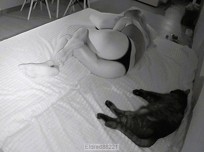 bandicam 2023-09-25 22-05-01-632