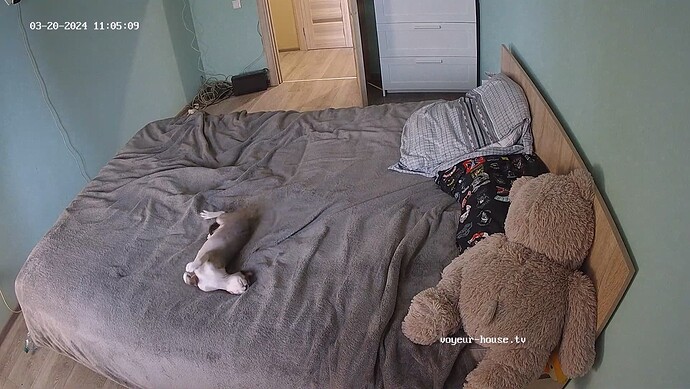 realm62-cam16-1710927592