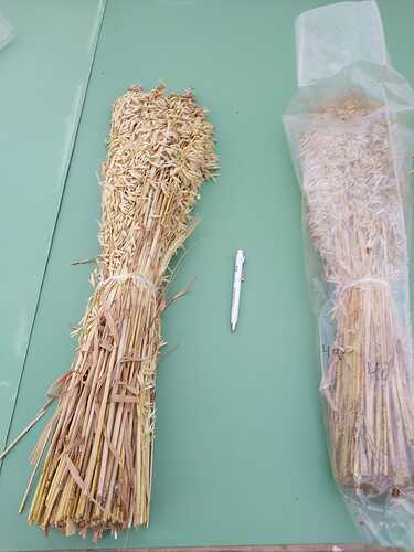 416971865_747734344074866_7774399255598686278_n