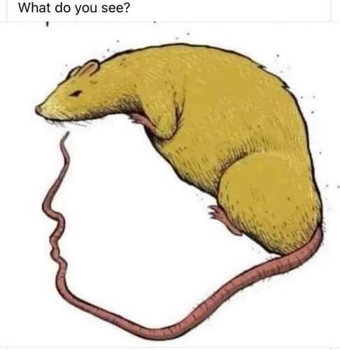487481007_29162233506725839_5478564318266180964_n