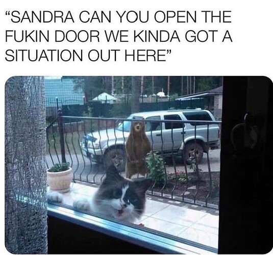 main-qimg-1bf064061afb6f3b07fd2ada04a8c5a8