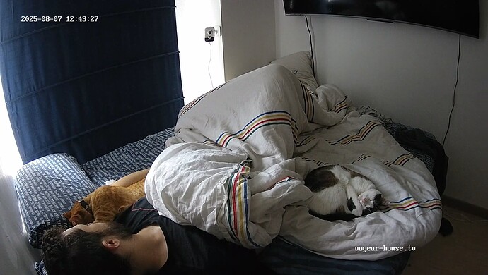 realm44-cam14-1754588643