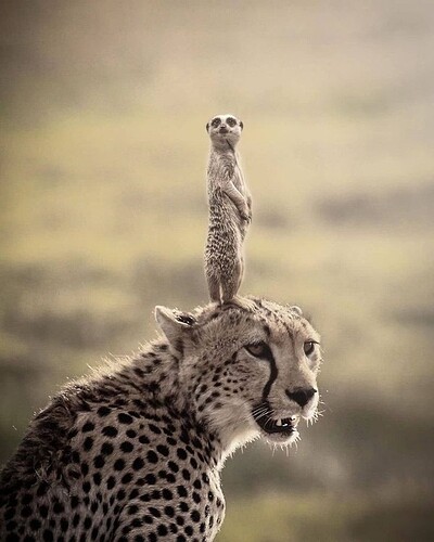 main-qimg-3222347627bf5e510a5226769399d09d