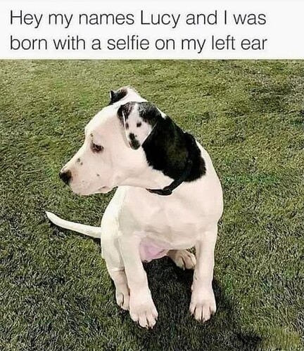 Selfie