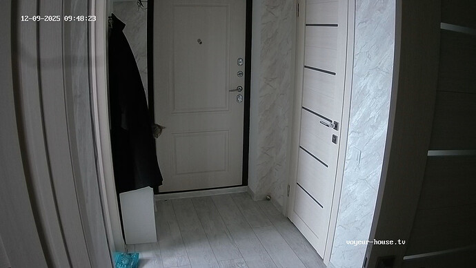 realm13-cam110-1765299351