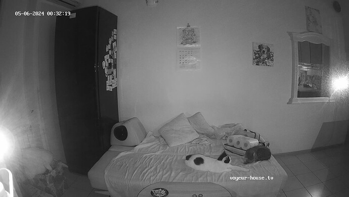 realm60-cam13-1714944773