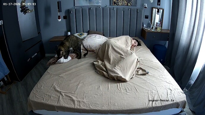 realm144-cam17-1768654902