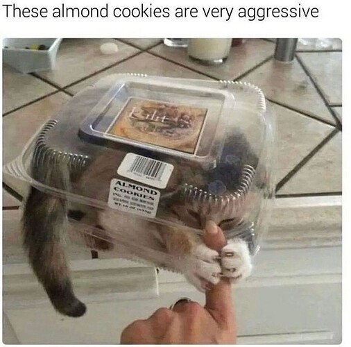 main-qimg-4fc8b9c914a84e5486b5e443f1ca7168