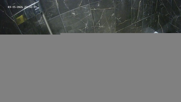 realm115-cam19-1773612944